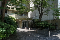 石畳とエントランスの大きな植物。