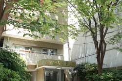 大きな木々が育つエントランス。