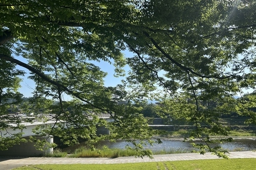 京都｜マンション入居者募集情報（新着情報あり！）