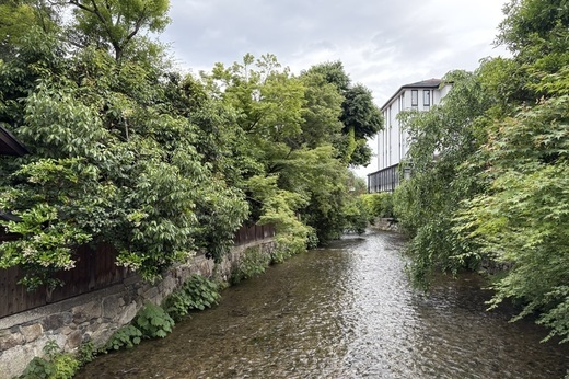 京都市京セラ美術館｜2025春期 コレクションルームギャラリーツアー