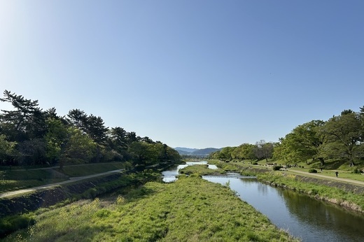 「テラエナジーでんき」の導入について